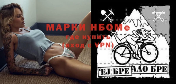 гашик Аркадак