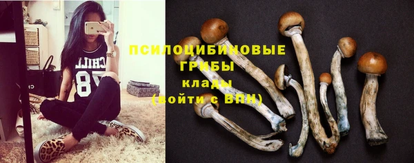 гашик Аркадак