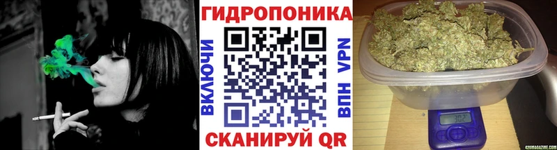 Канабис планчик OMG рабочий сайт Почеп